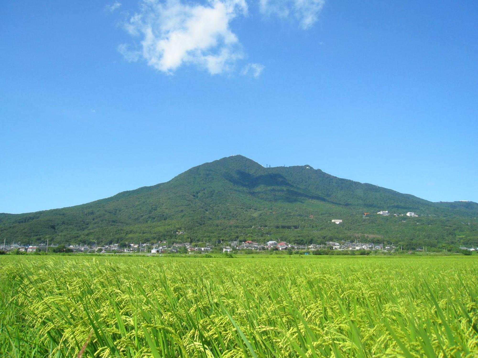 Hotel Jal City Tsukuba Dış mekan fotoğraf